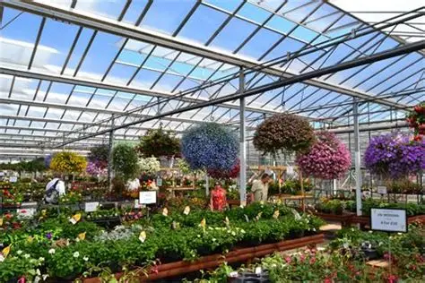 Plantsplus Garden Centre coach day trip